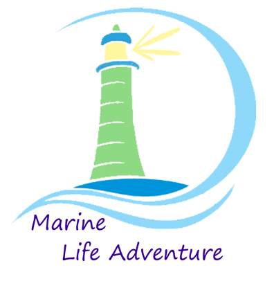 Marine Life Adventure